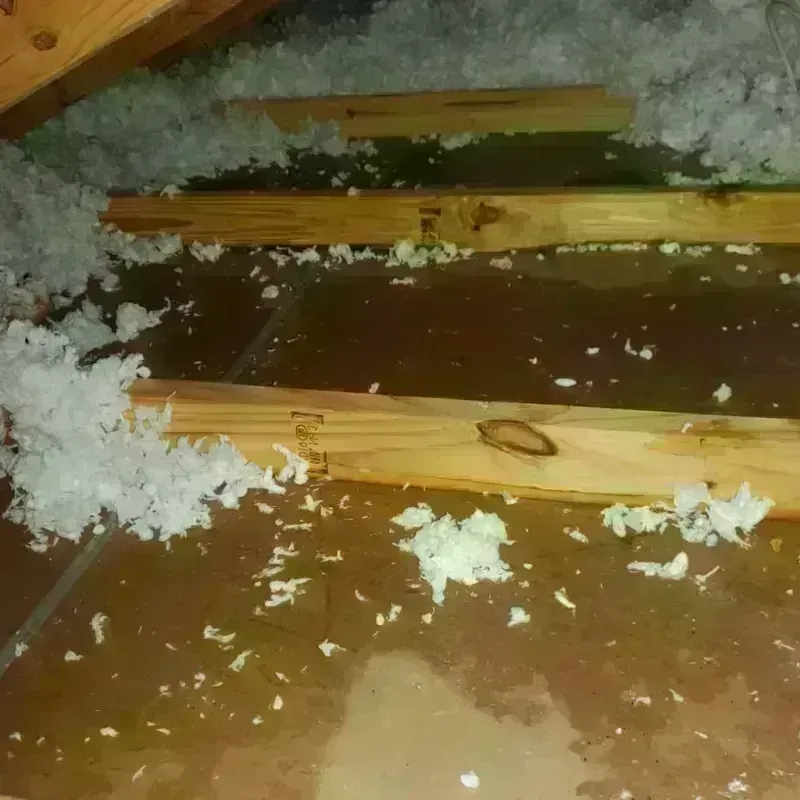 Attic Water Damage in Hancock County, IA