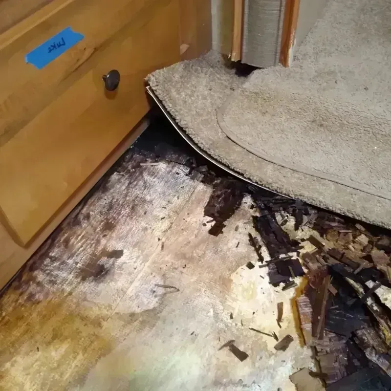 Wood Floor Water Damage in Hancock County, IA